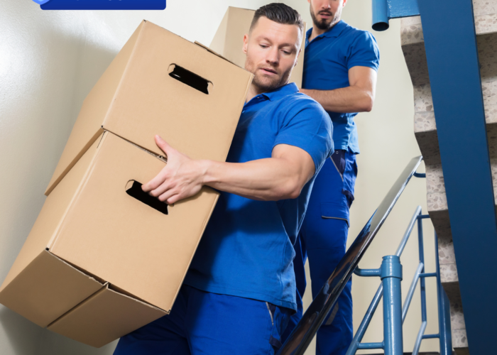 the importance of hiring a proffesional moving companyy